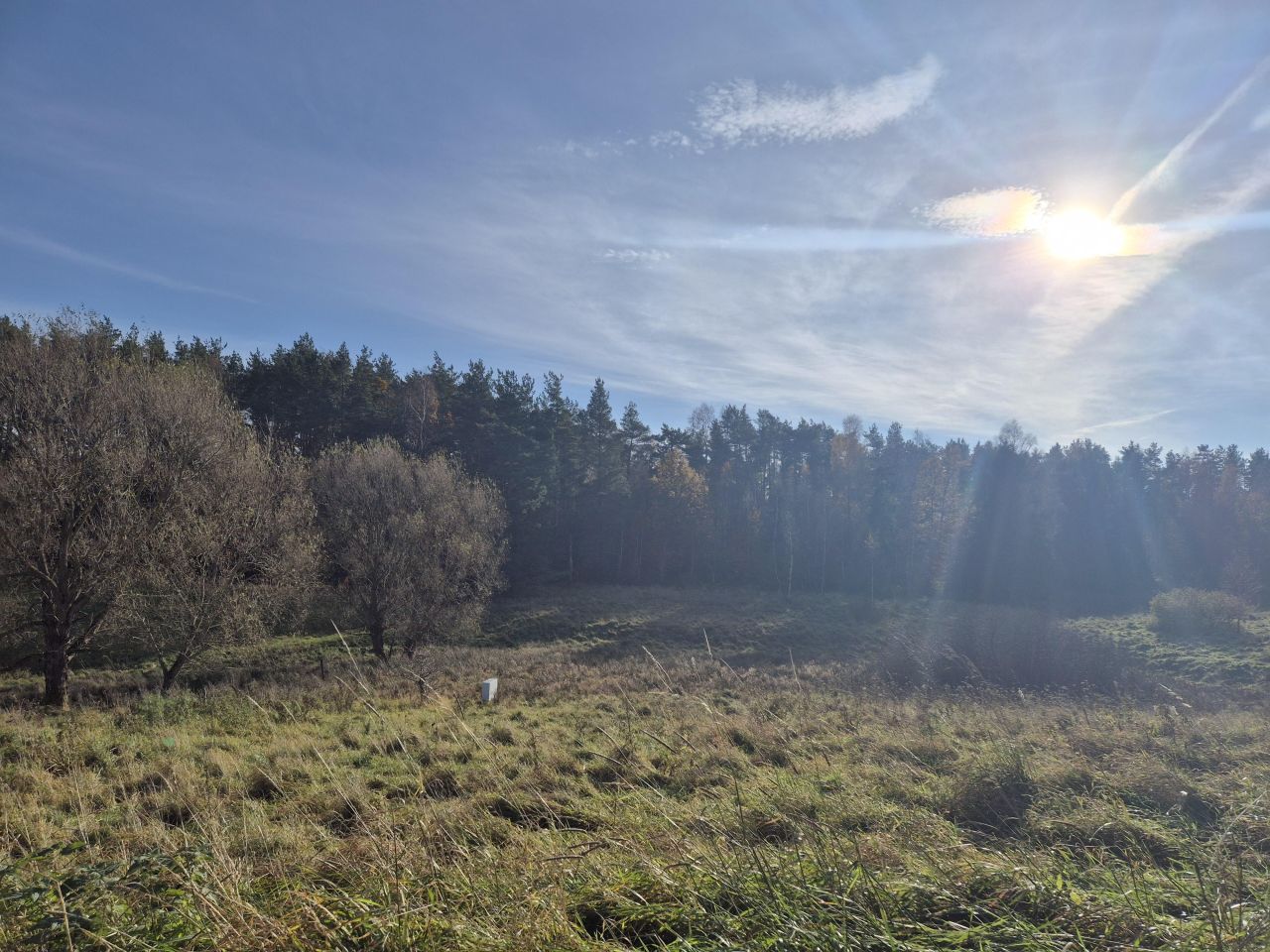 Działka budowlana Pomlewo, ul. Sosnowa. Zdjęcie 4
