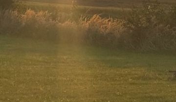 Działka budowlana Tychy Cielmice