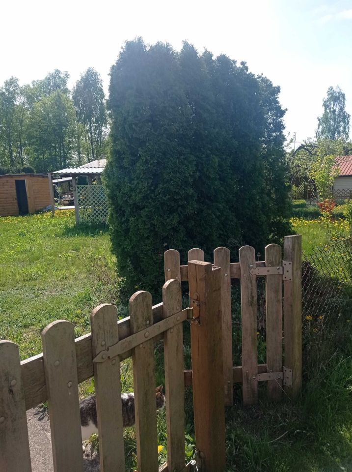 Działka rod Powązki. Zdjęcie 3