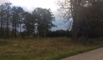 Działka budowlana Leśna, ul. Widokowa