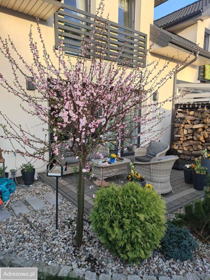 bliźniak, 4 pokoje Bolszewo, ul. Kręta. Zdjęcie 15