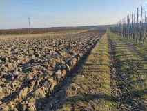 Działka rolna Ruszcza-Płaszczyzna, Ruszcza Płaszczyzna. Zdjęcie 2