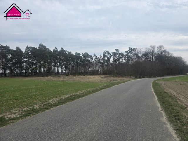 Działka budowlana Lisiec Mały. Zdjęcie 1