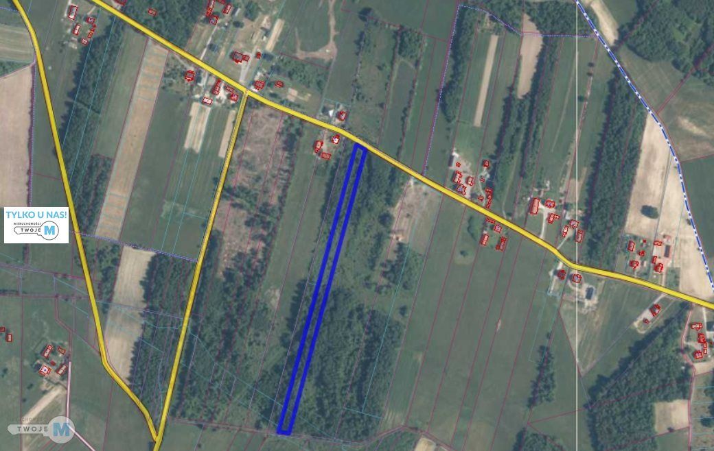 Działka rolno-budowlana Ociesęki. Zdjęcie 1