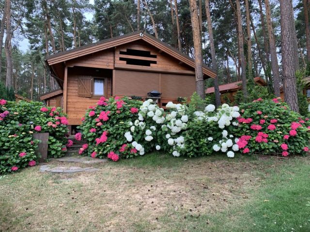 dom letniskowy Niesulice. Zdjęcie 1