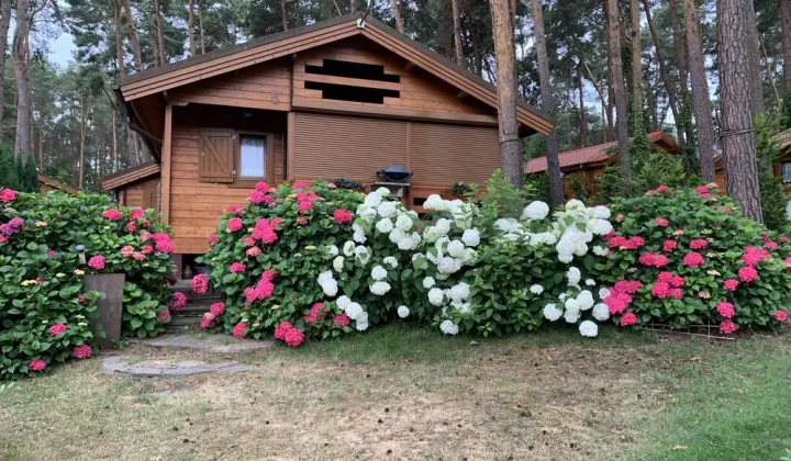 dom letniskowy Niesulice