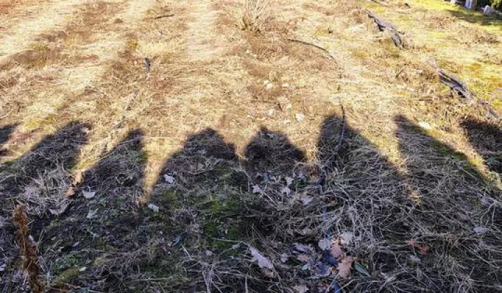 Działka rod Białystok