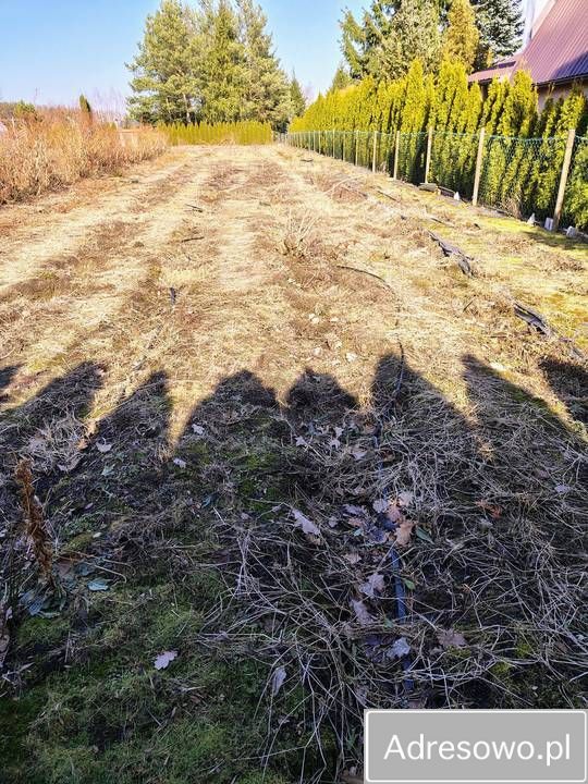 Działka rod Zabłudów, ul. Grzegorza Chodkiewicza 63. Zdjęcie 1
