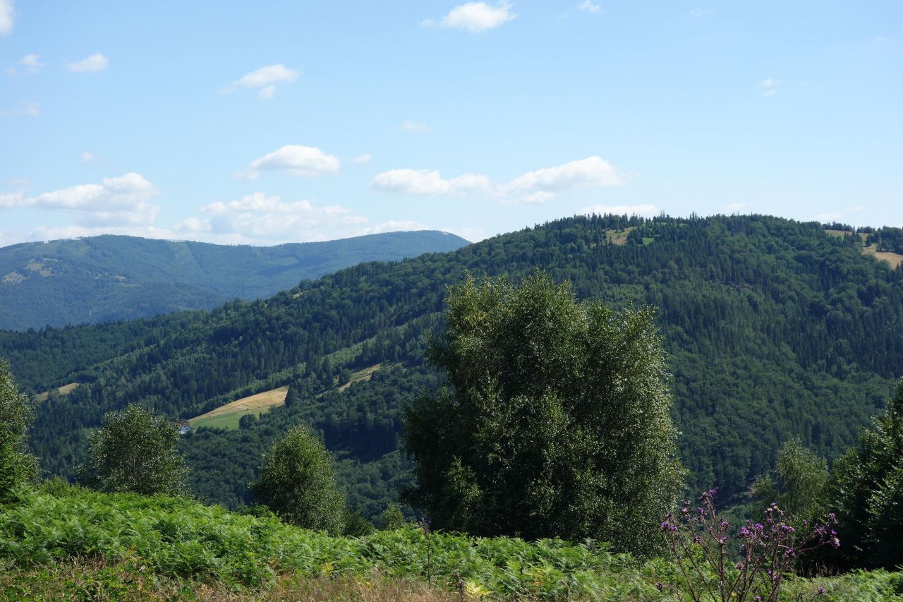 Działka inwestycyjna Brenna Leśnica, ul. Orłowa. Zdjęcie 10