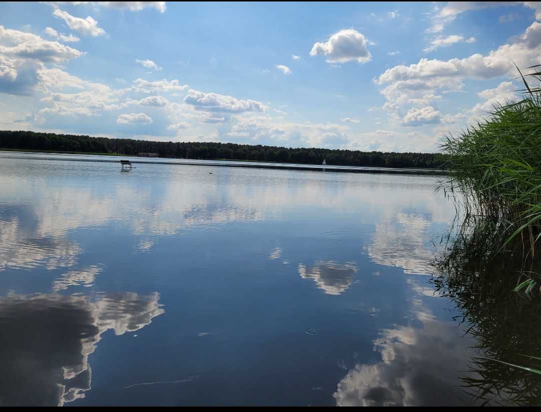 Działka budowlana Urszulewo. Zdjęcie 6