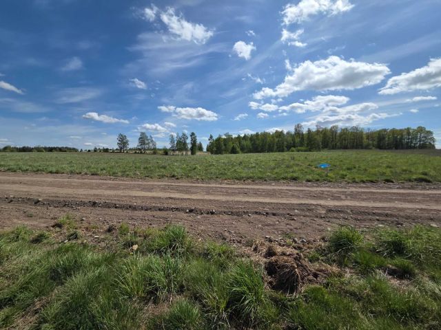 Działka rolno-budowlana Koziki. Zdjęcie 1