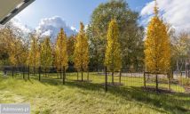 Mieszkanie 3-pokojowe Warszawa Siekierki, ul. Bluszczańska. Zdjęcie 1