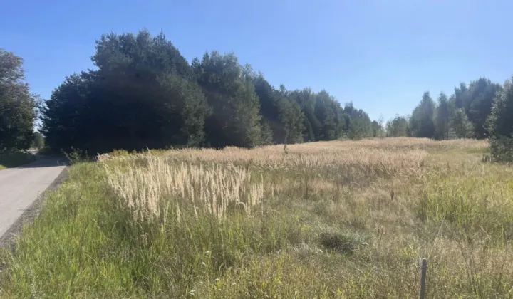 Działka rolno-budowlana Biała Wielka Wojewódze, Wojewódze