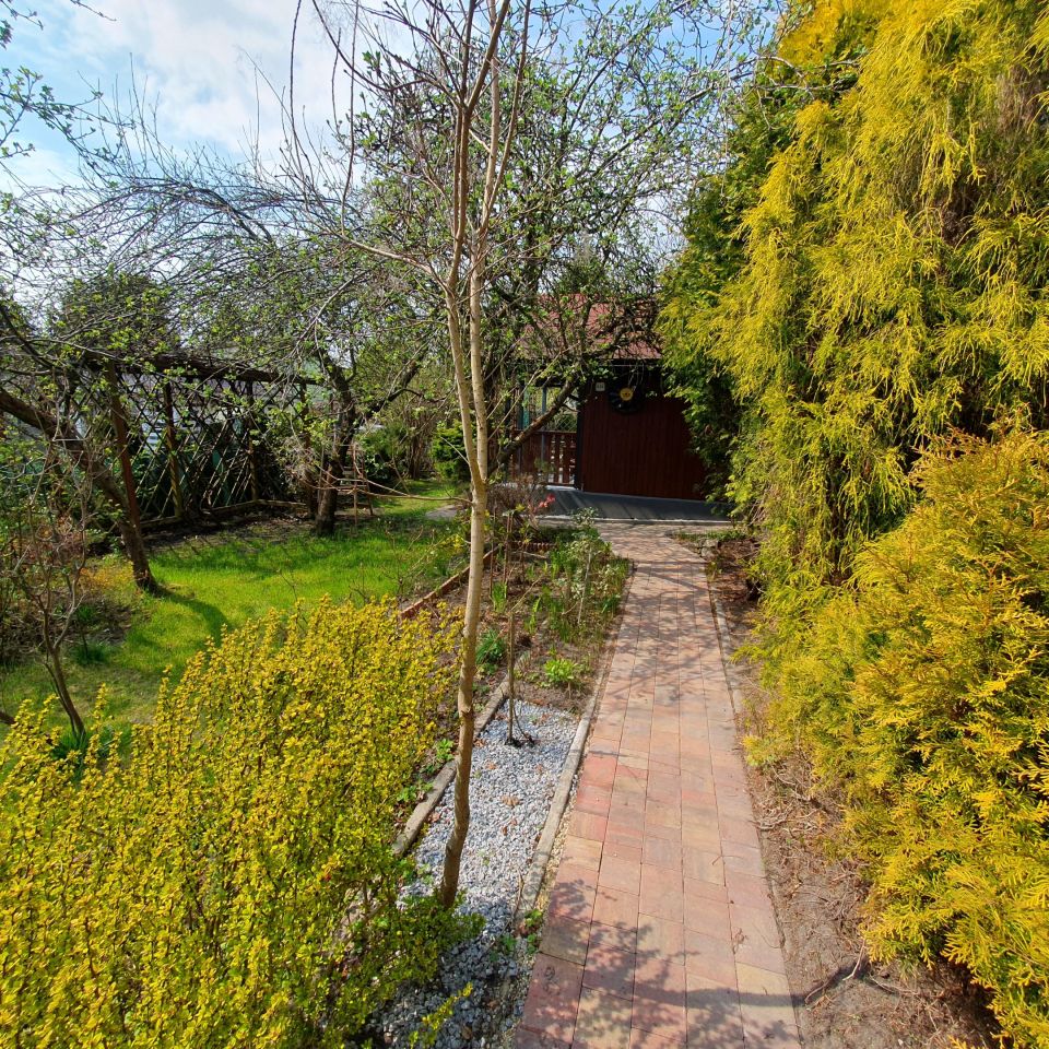 Działka rod Sosnowiec Zagórze, al. Ignacego Paderewskiego. Zdjęcie 5