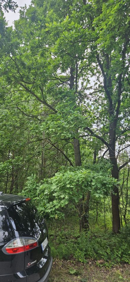 Działka budowlana Bryzgów. Zdjęcie 5