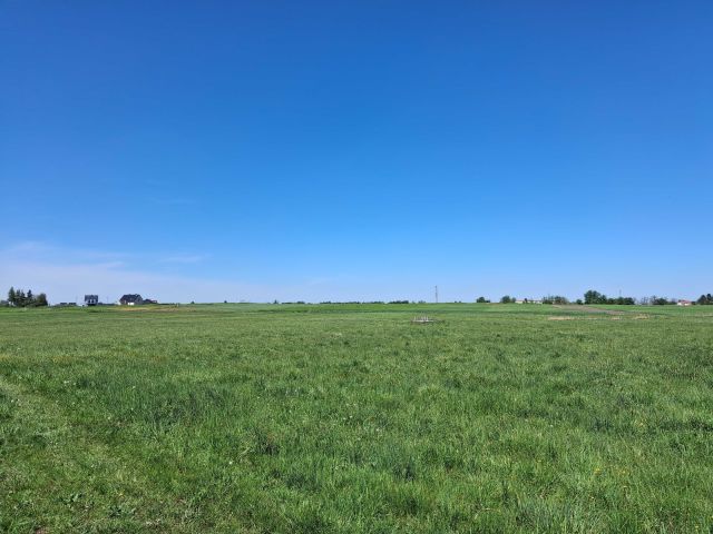 Działka rolna Opole Grudzice. Zdjęcie 1
