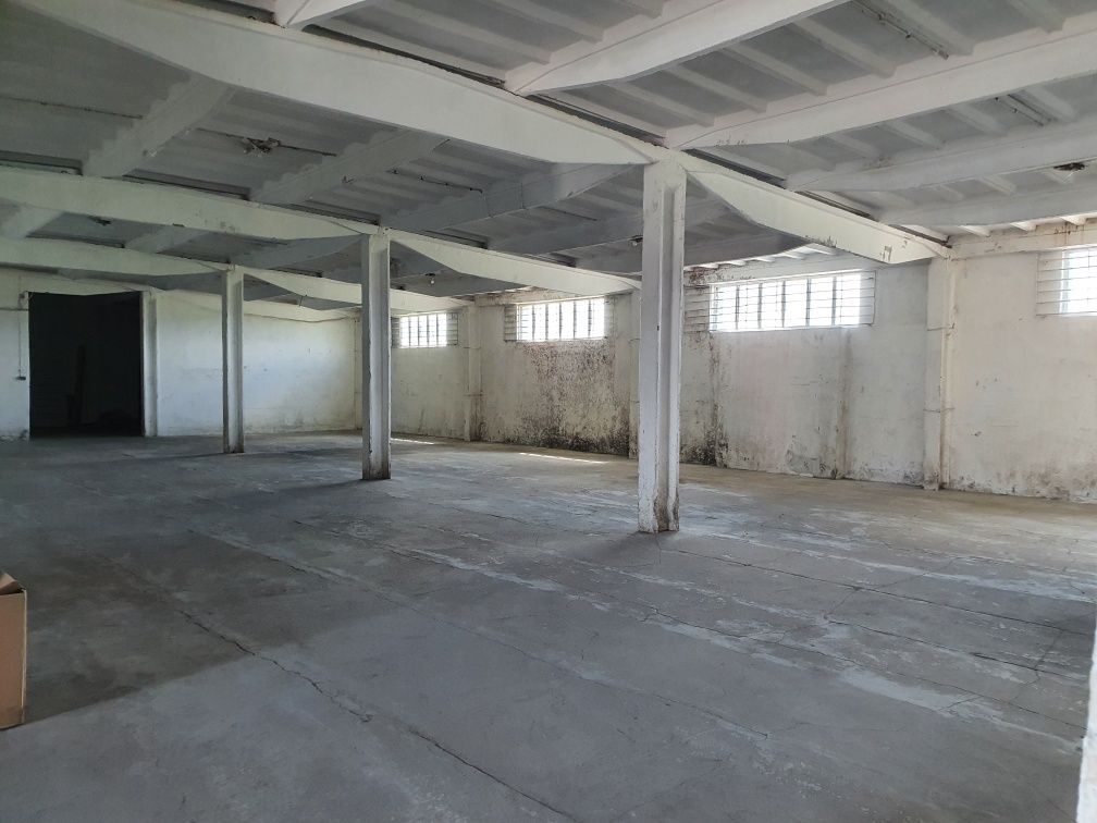 Hala/magazyn Glinojeck. Zdjęcie 4