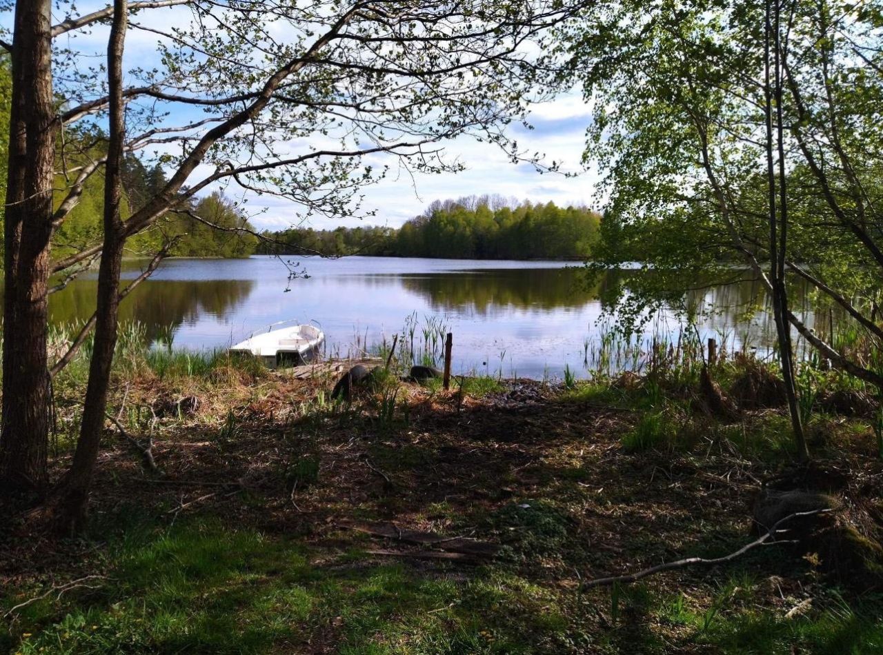 Działka rolna Wielimowo. Zdjęcie 5