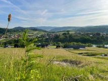 Działka inwestycyjna Zawóz. Zdjęcie 3