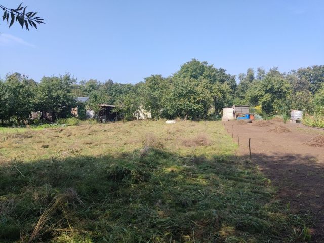 Działka rod Rydzyna. Zdjęcie 1