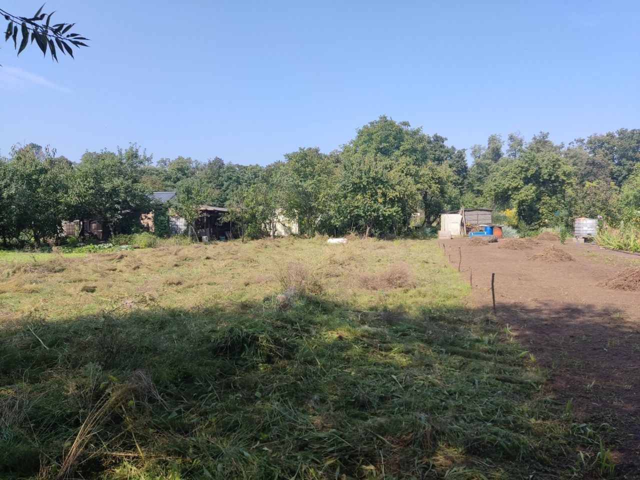 Działka rod Rydzyna