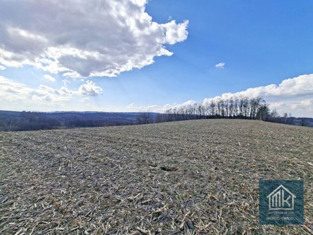 Działka budowlana Bodzanów. Zdjęcie 8