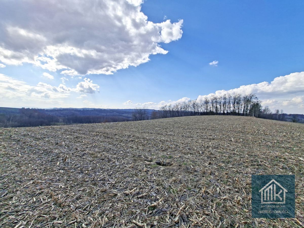 Działka budowlana Bodzanów. Zdjęcie 8