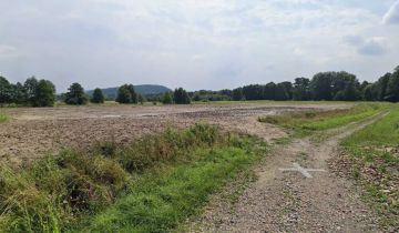 Działka inwestycyjna Wola Filipowska