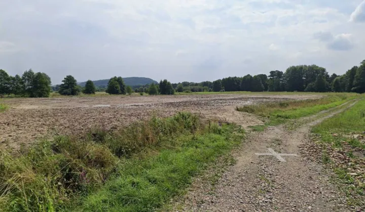 Działka inwestycyjna Wola Filipowska