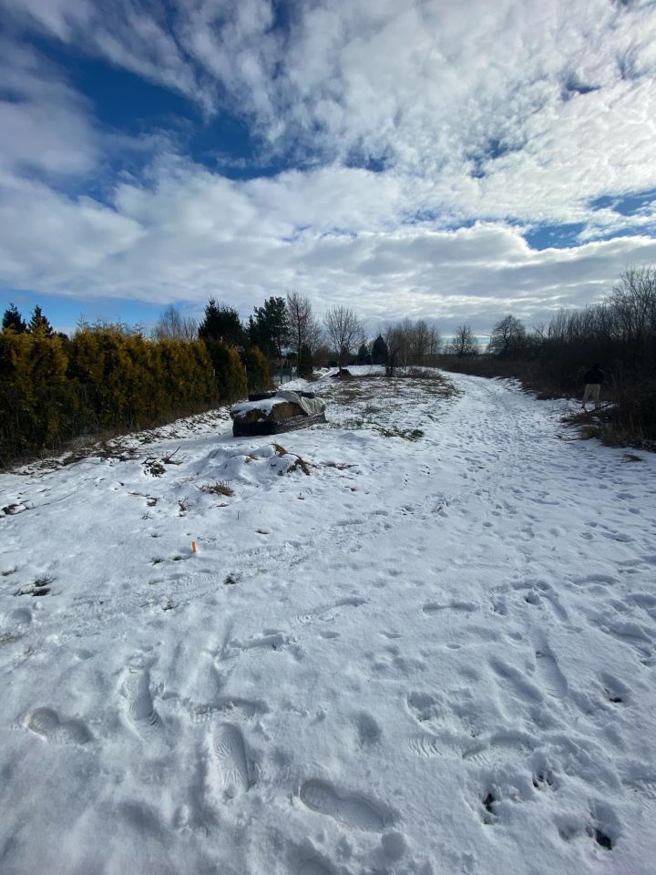 Działka rod Nowotna. Zdjęcie 3