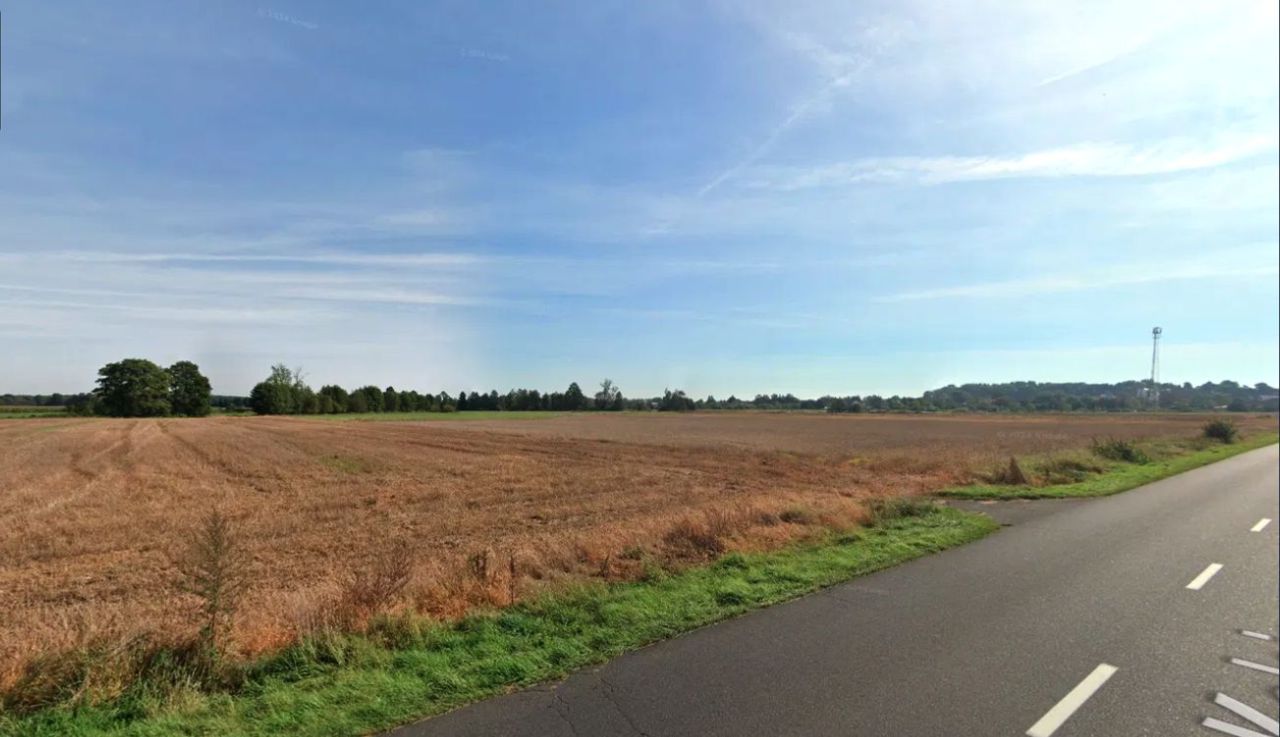 Działka rolna Kolsko. Zdjęcie 7