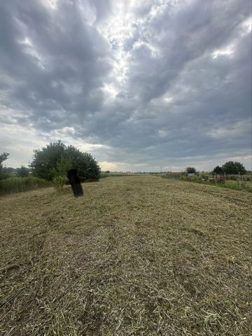 Działka rolno-budowlana Mienice. Zdjęcie 1