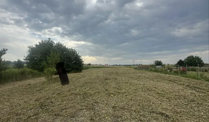 Działka rolno-budowlana Mienice