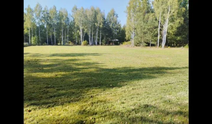 Działka siedliskowa Rogóźno