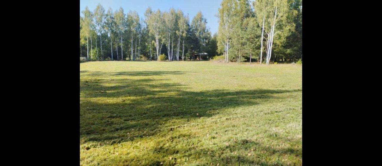Działka siedliskowa Rogóźno. Zdjęcie 1