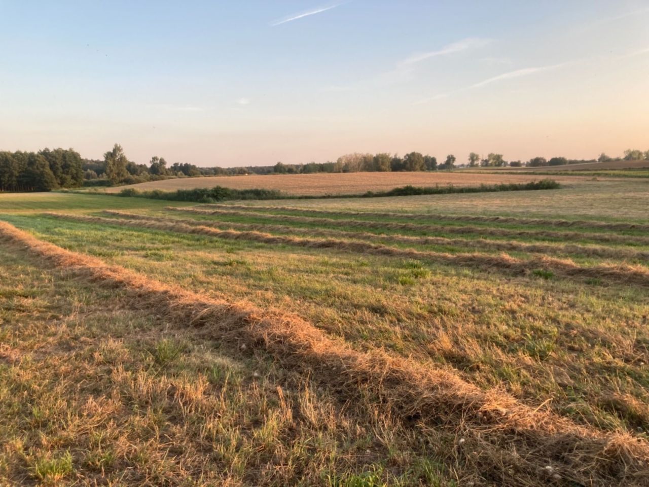 Działka budowlana Komratowo. Zdjęcie 2