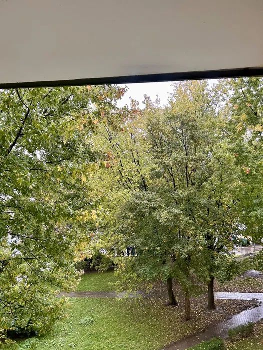 Mieszkanie 2-pokojowe Wałbrzych. Zdjęcie 6