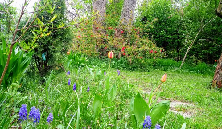 Działka rod Warszawa Mokotów, al. Niepodległości