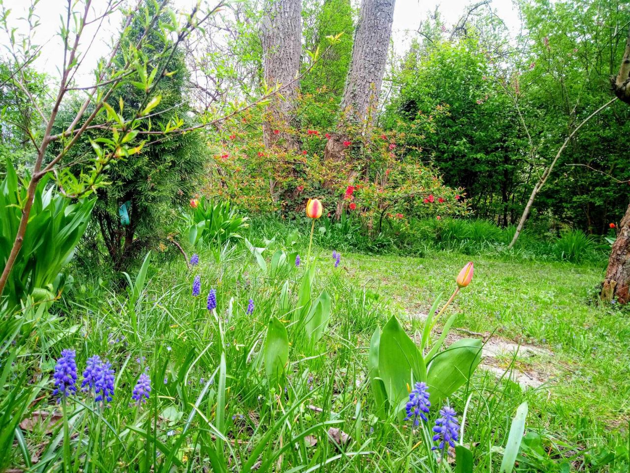 Działka rod Warszawa Mokotów, al. Niepodległości. Zdjęcie 1