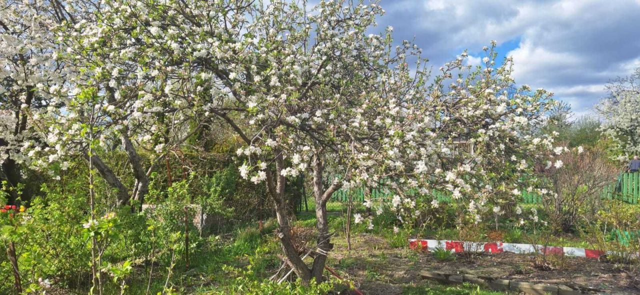 Działka rod Bielsko-Biała, ul. Bukietowa. Zdjęcie 3