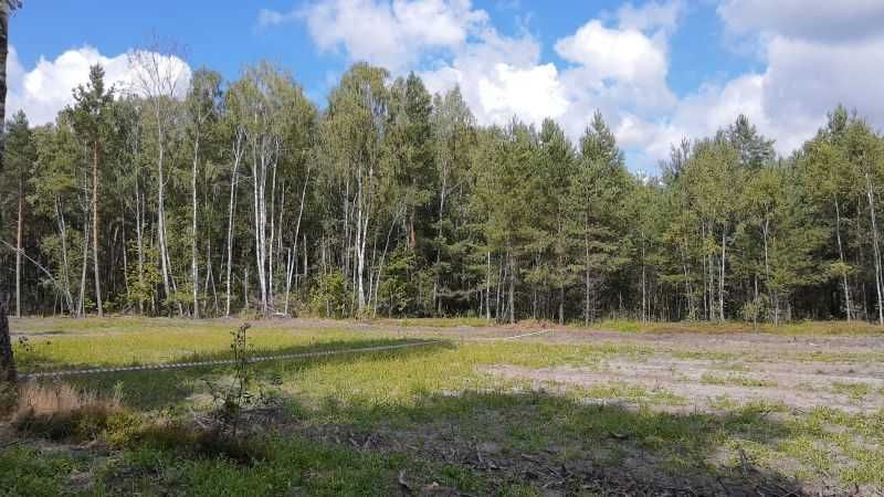 Działka budowlana Żebrówka. Zdjęcie 3