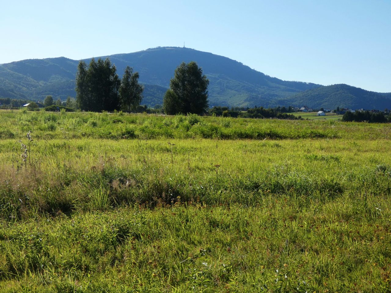 Działka budowlana Lipowa, ul. Promienna. Zdjęcie 6