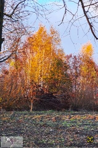 Działka budowlana Feliksów. Zdjęcie 14