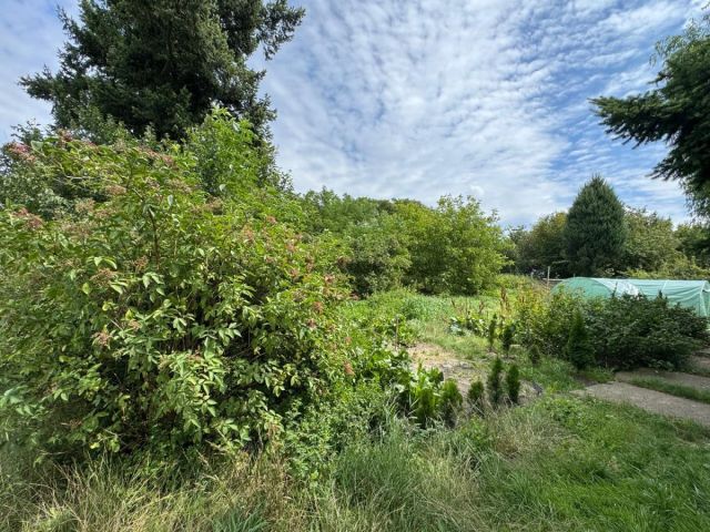 Działka budowlana Góry. Zdjęcie 3