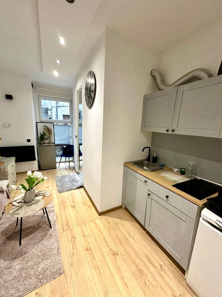 Mieszkanie 1-pokojowe Łódź Śródmieście, ul. Piotrkowska. Zdjęcie 4