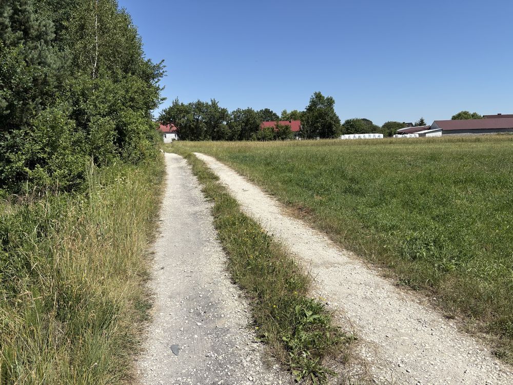 Działka rolna Bebelno-Wieś. Zdjęcie 6