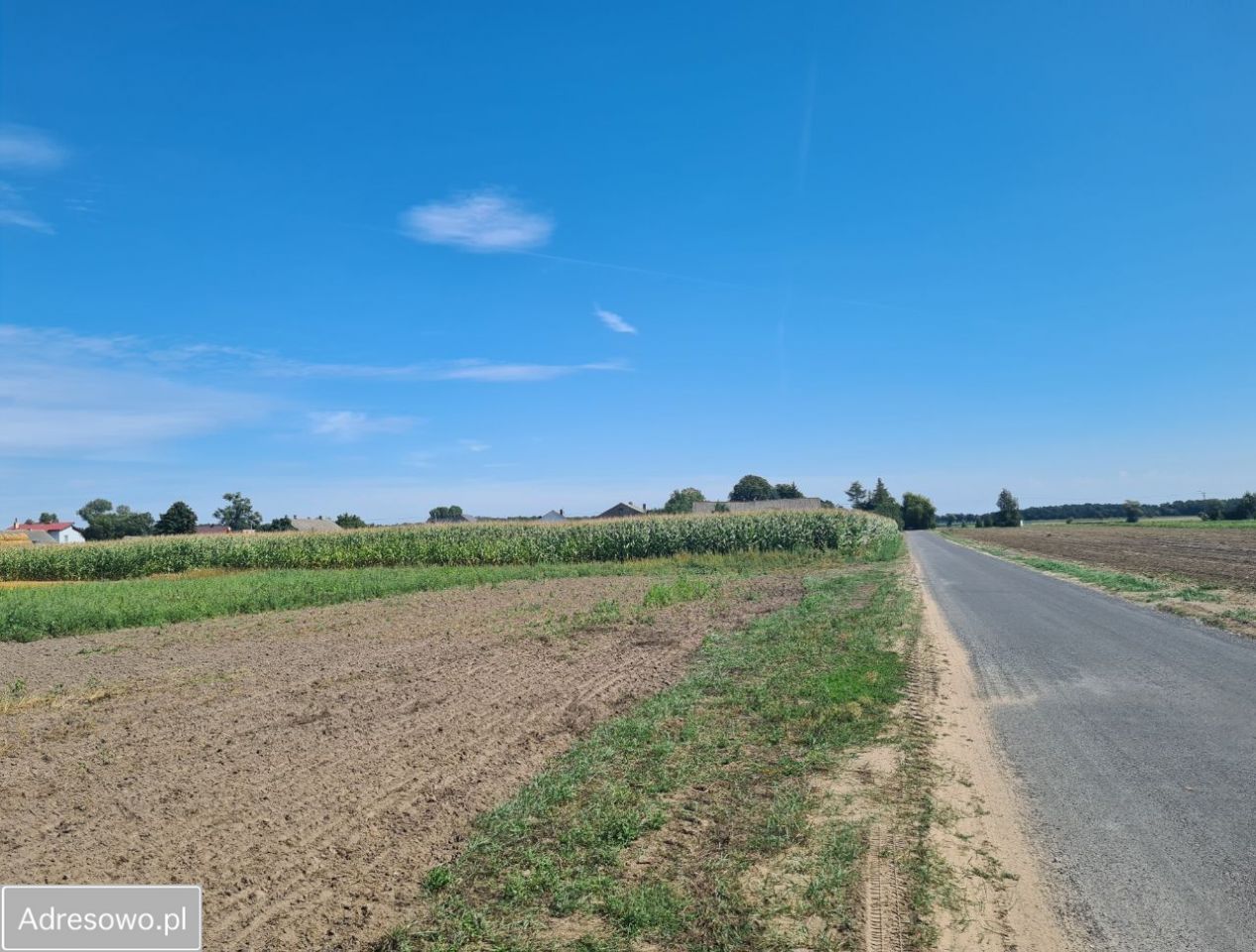 Działka budowlana Dębiczek. Zdjęcie 1