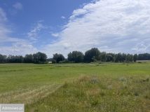 Działka rolno-budowlana Jeleń