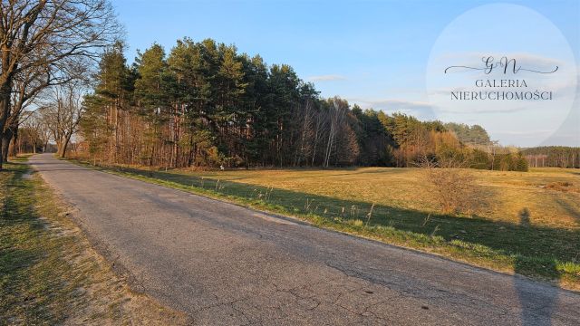 Działka rekreacyjna Nowa Wieś. Zdjęcie 5