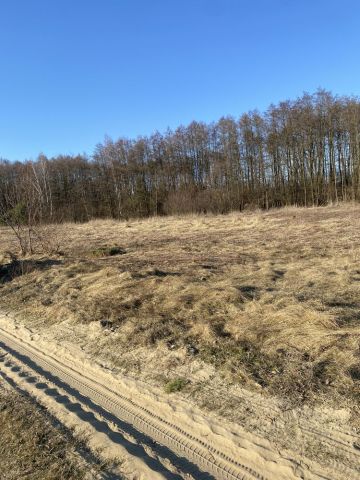 Działka budowlana Drogoszowice. Zdjęcie 1